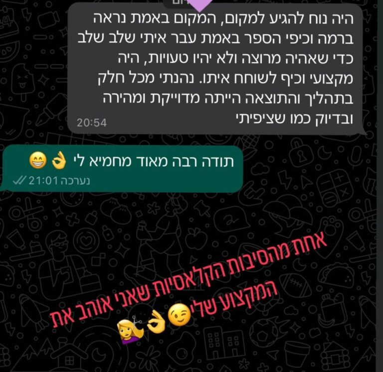 המלצה 2